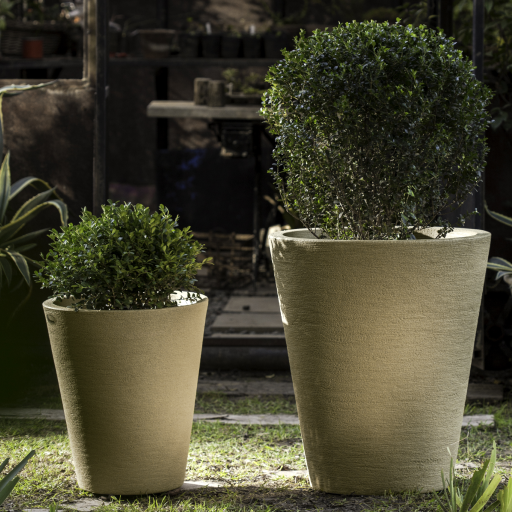 Maceta alta color arena con arbusto redondo en un patio con fondo vegetal.