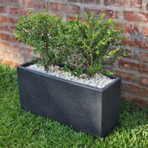 Maceta rectangular de cemento oscuro con arbusto verde sobre césped junto a una pared de ladrillo.